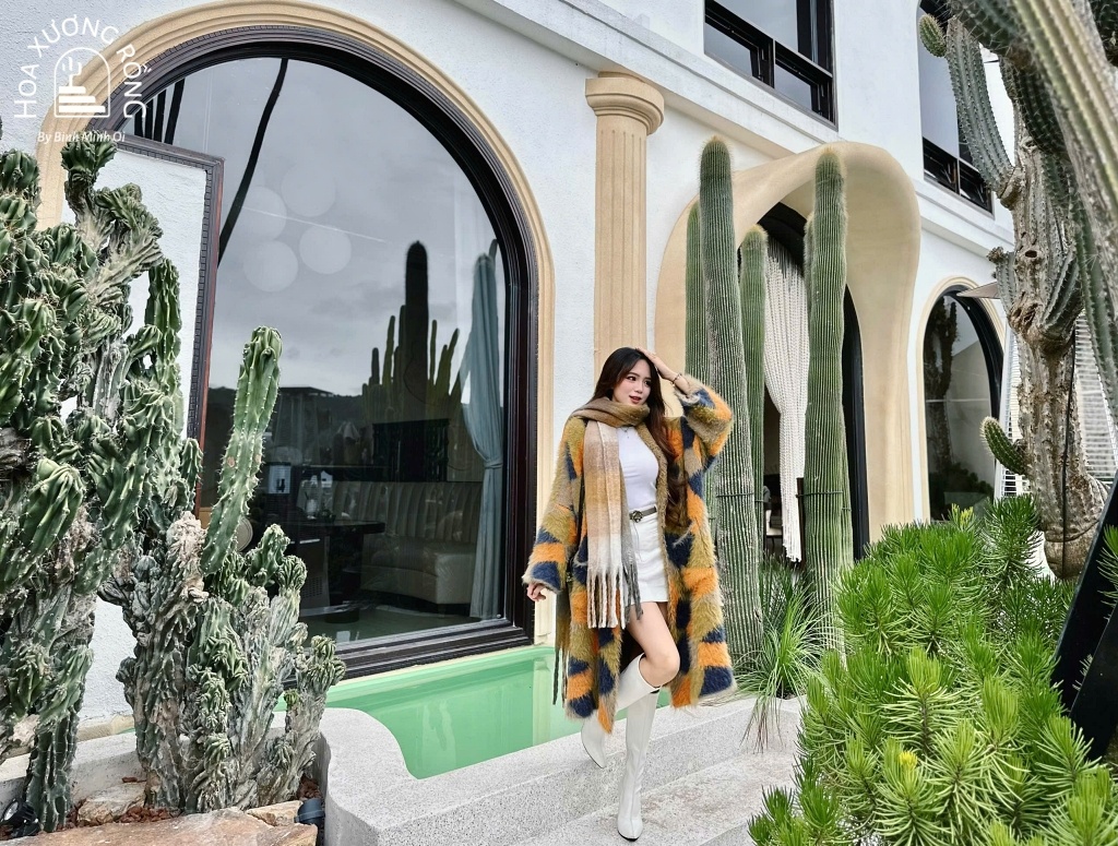 Cafe Hoa Xương Rồng là một trong những quán cà phê mới đẹp nhất ở Đà Lạt