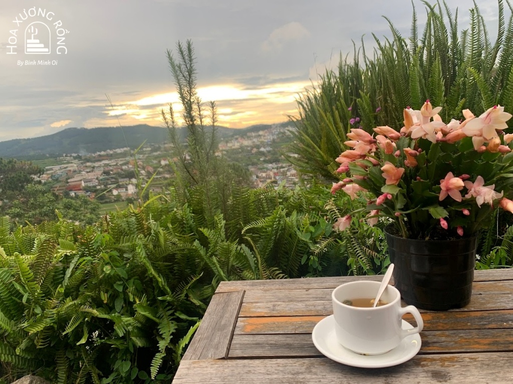 Lululola Coffee +với không gian ngoài trời thoáng đãng