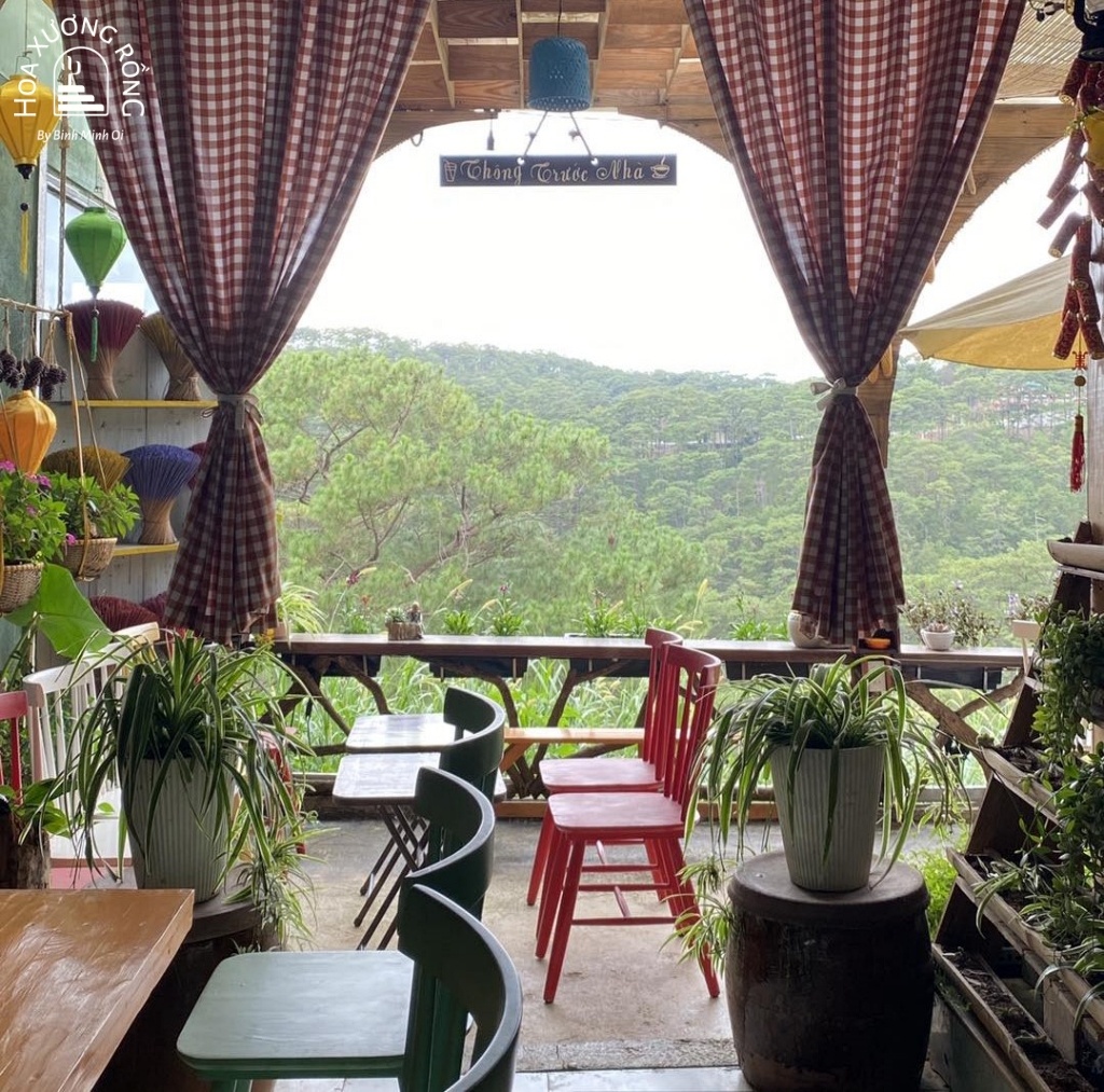 Thông Trước Nhà Cafe Đà Lạt mộc mạc có view toàn cảnh rừng thông bạt ngàn