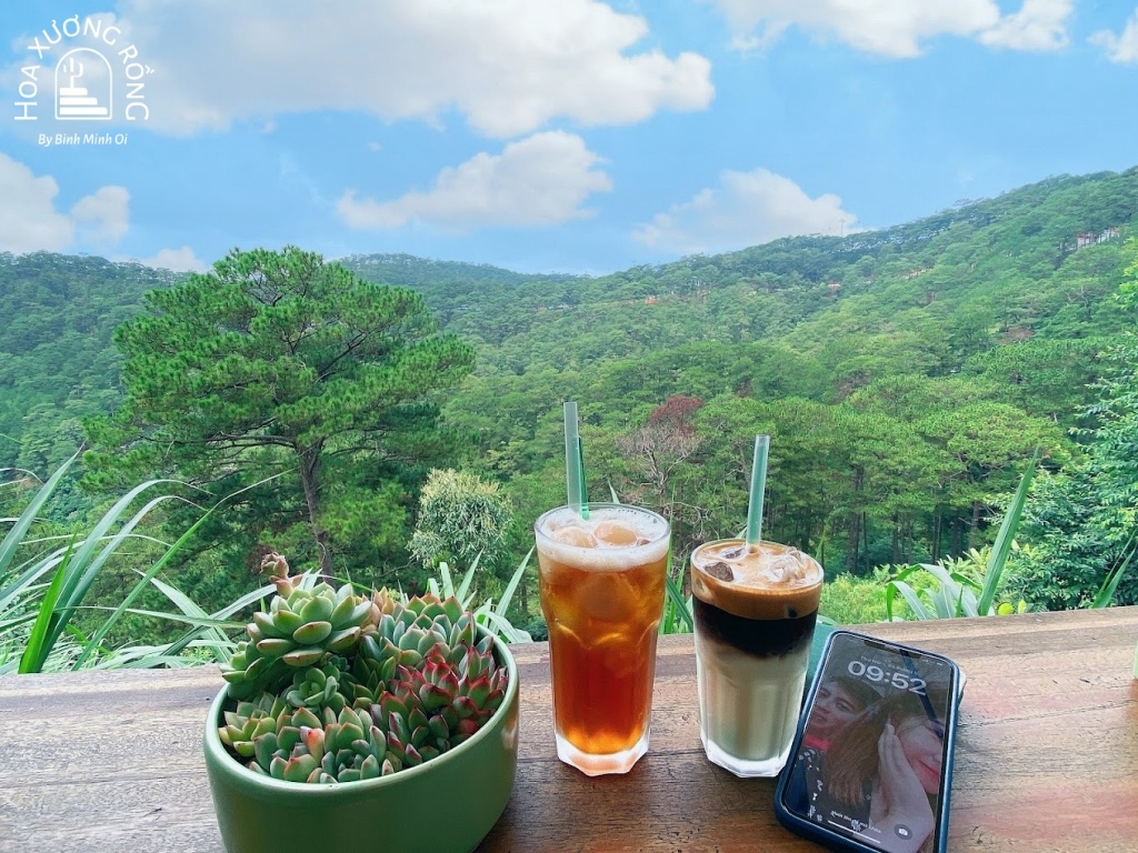 Thưởng thức đồ uống ngon và hòa mình vào không gian yên bình và gần gũi với thiên nhiên tại Thông Trước Nhà Cafe Đà Lạt