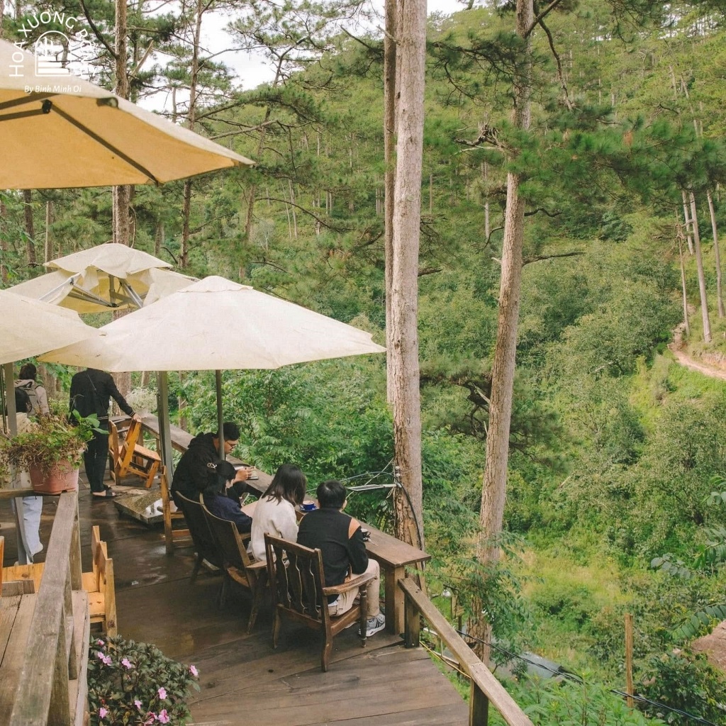 Tiệm cà phê Lưng Chừng nằm ở lưng chừng đồi, với view nhìn ra rừng thông tuyệt đẹp