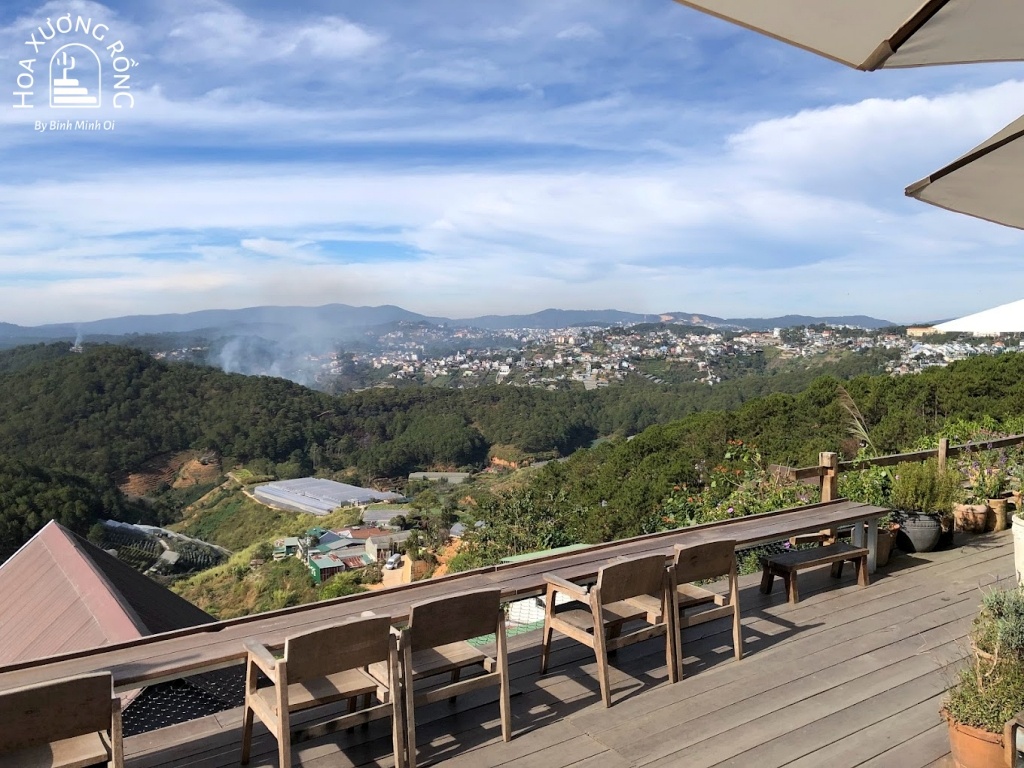 Tiệm cà phê Cheo Veooo với thiết kế chủ yếu bằng gỗ với view rừng thông đẹp ngút ngàn