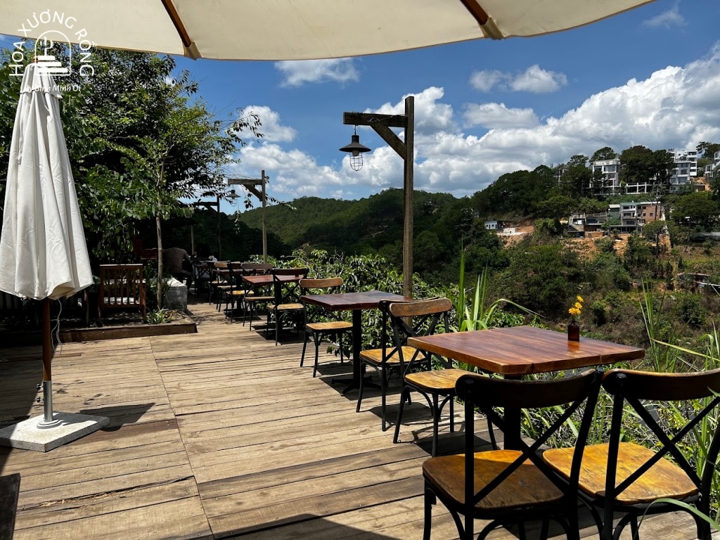 Cafe In The Forest Đà Lạt bao quanh bởi rừng thông bạt ngàn thơ mộng