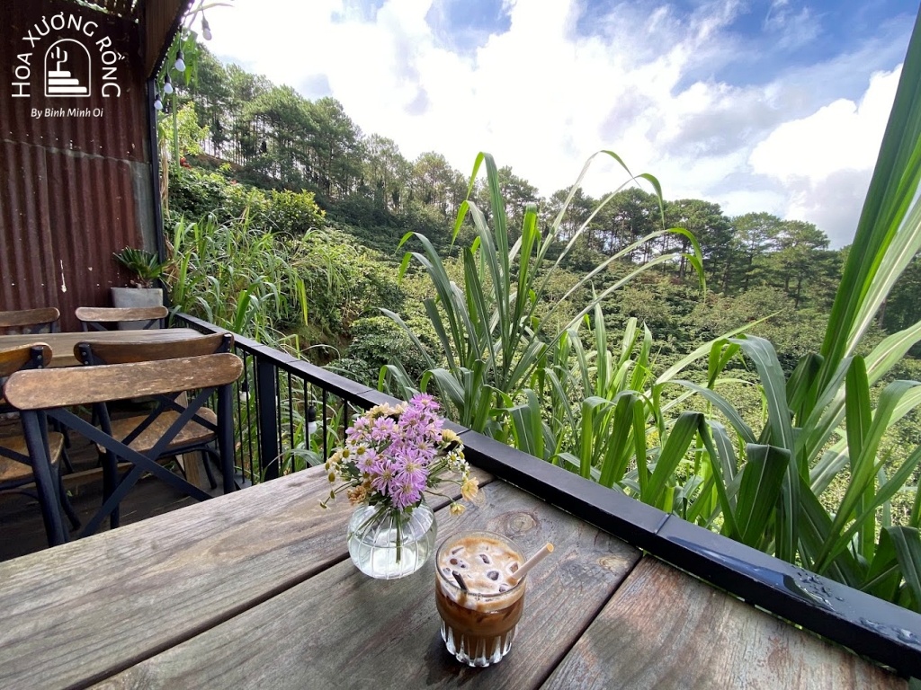 Thưởng thức cà phê và ngắm cảnh thiên nhiên rừng thông đẹp tại In The Forest