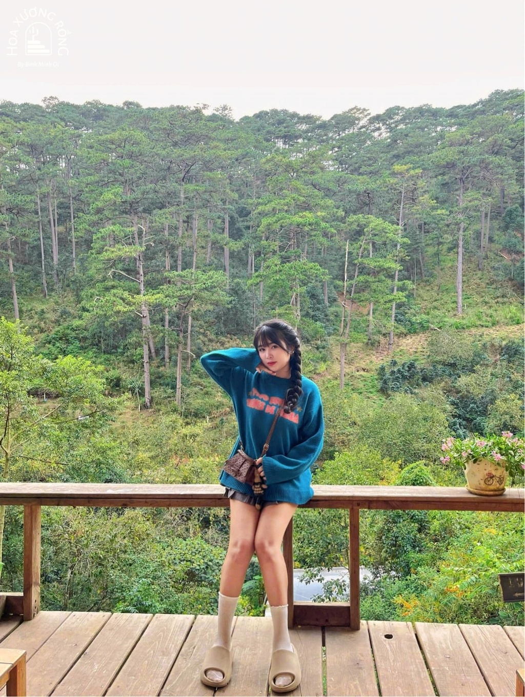 Góc view ngắm đồi thông tuyệt đẹp, thư thái tại quán Lưng Chừng
