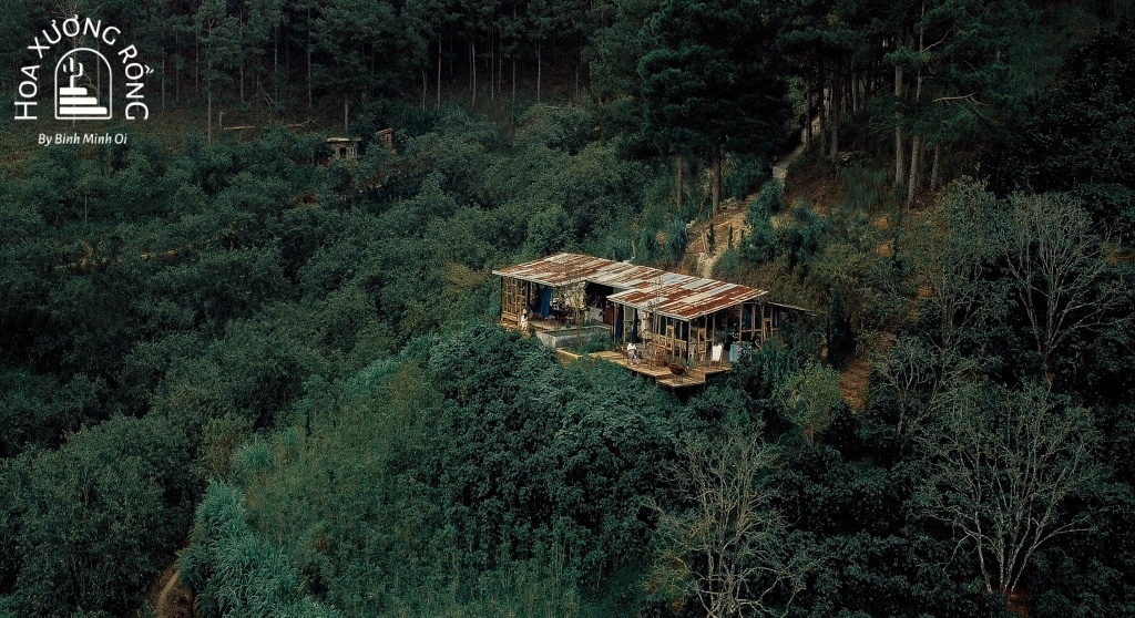 In The Forest Đà Lạt nằm giữa rừng thông xanh ngắt
